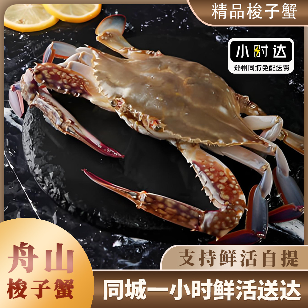 【金葉甄选】鲜活舟山野生（母）梭子蟹 2-3两/只109三斤【保鲜不保活】