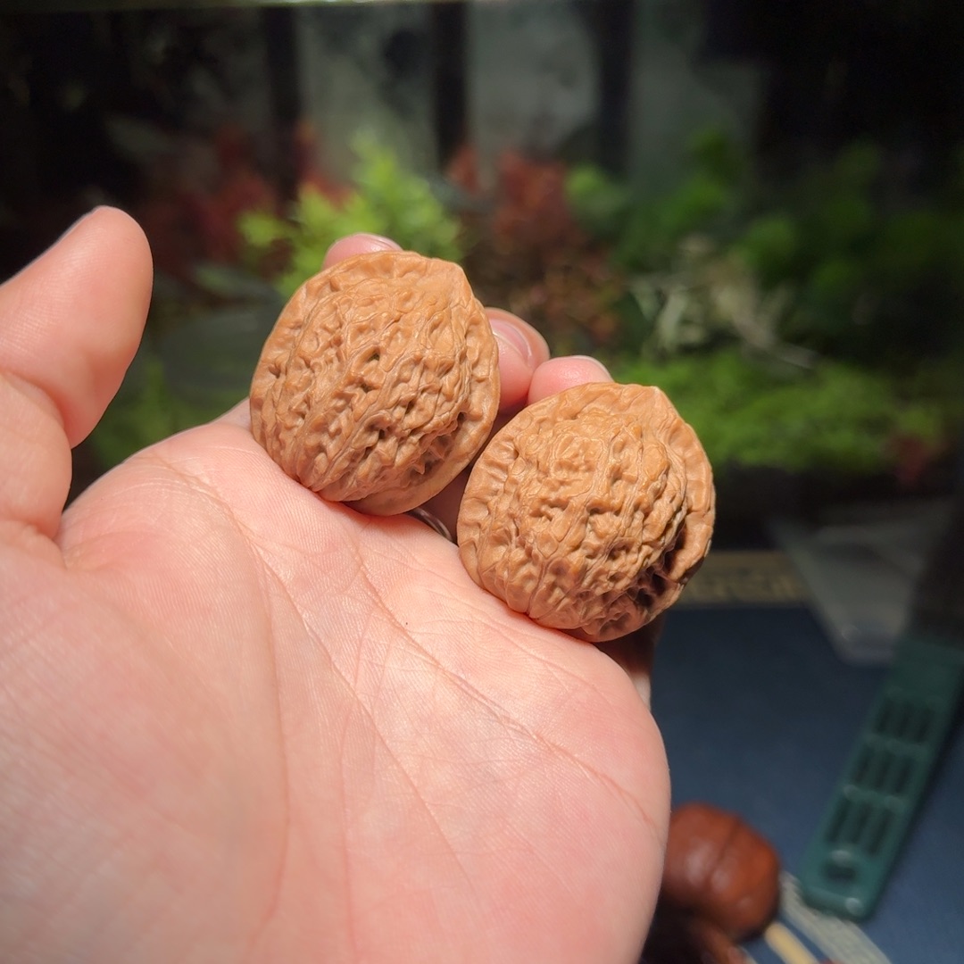 1078号34原树玉观音文玩核桃