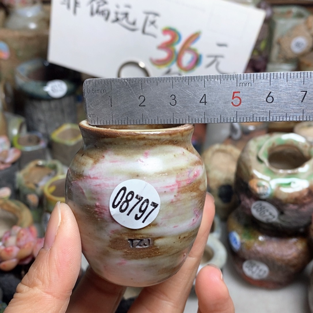 泰****）花盆拍5送一个小礼物