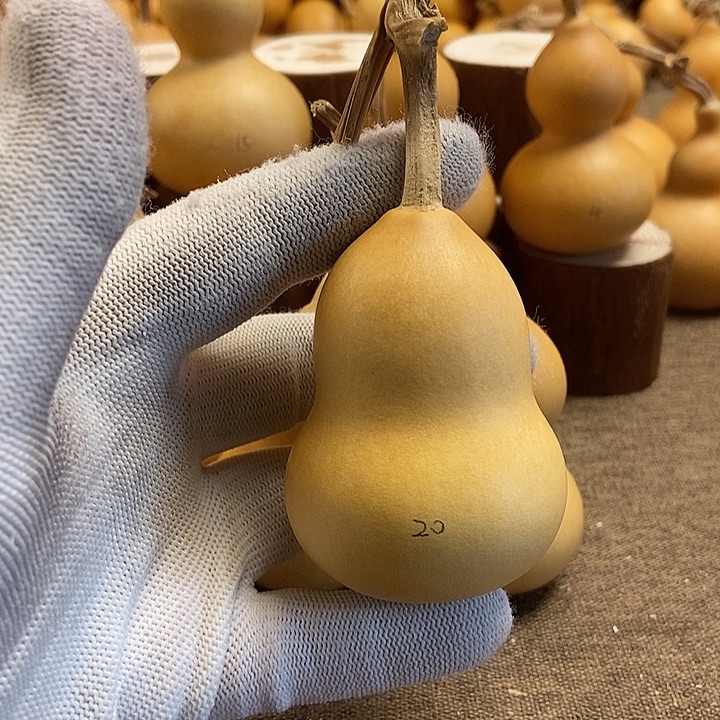 文玩葫芦 完美主义者 慎拍20