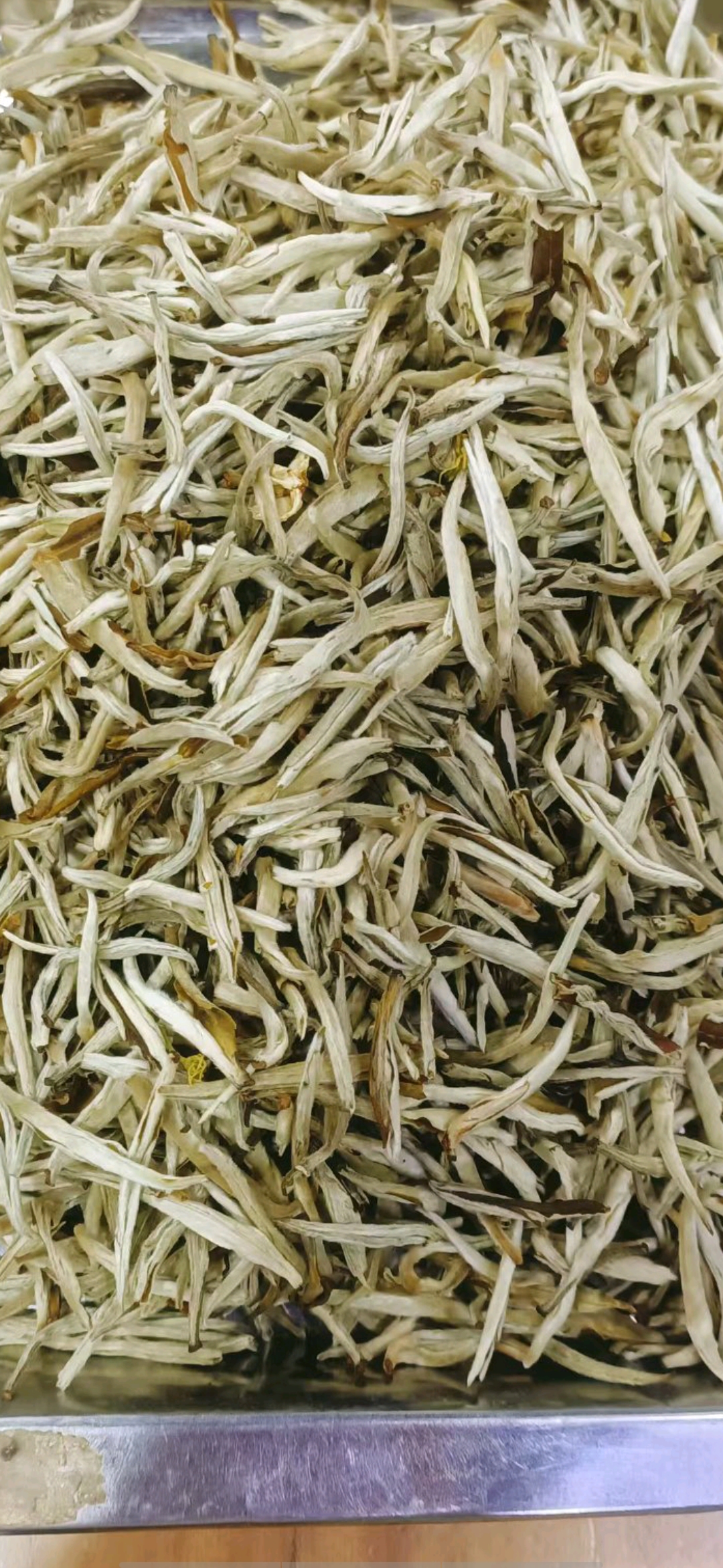 2025年新茉莉花茶 白毫银针 浓香型250克起