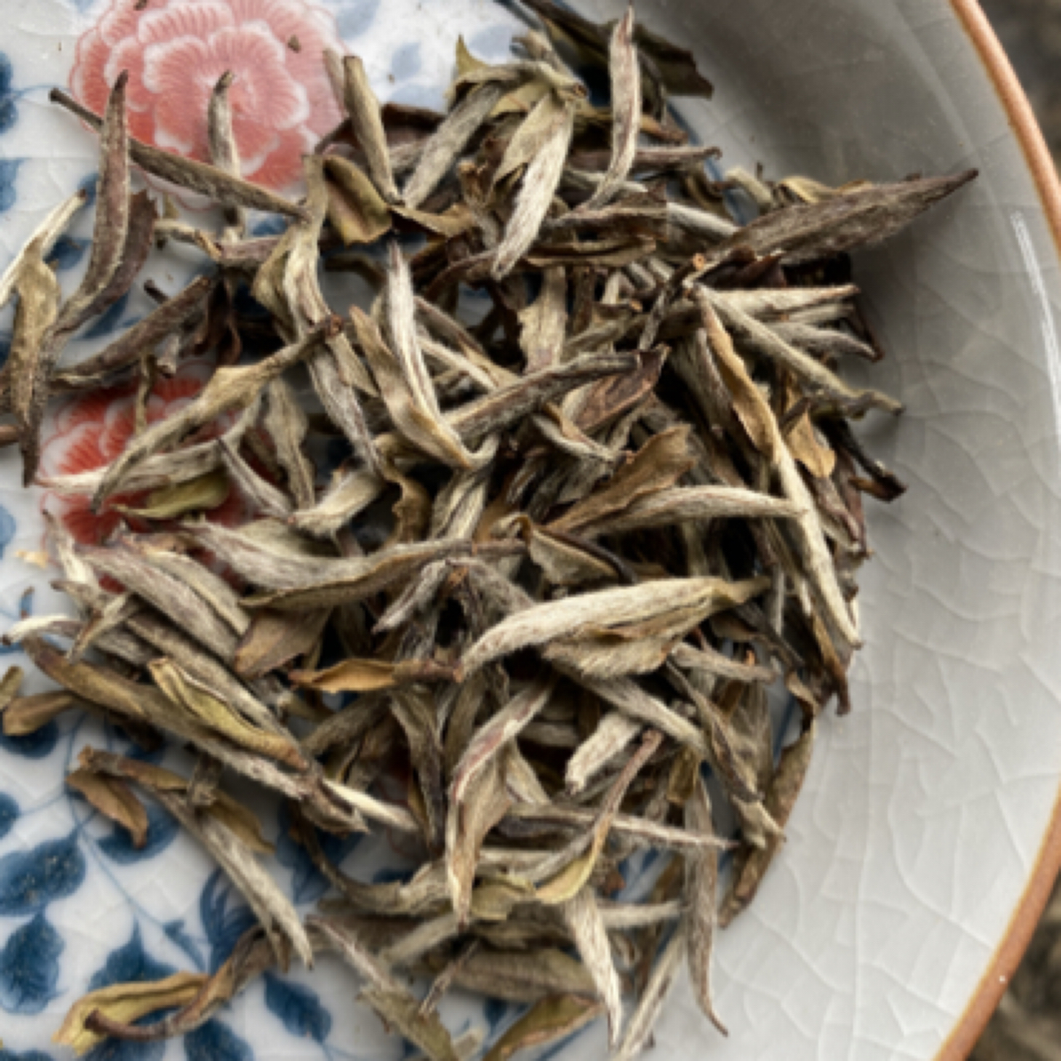 2011年荒枞头采荒野白毫银针