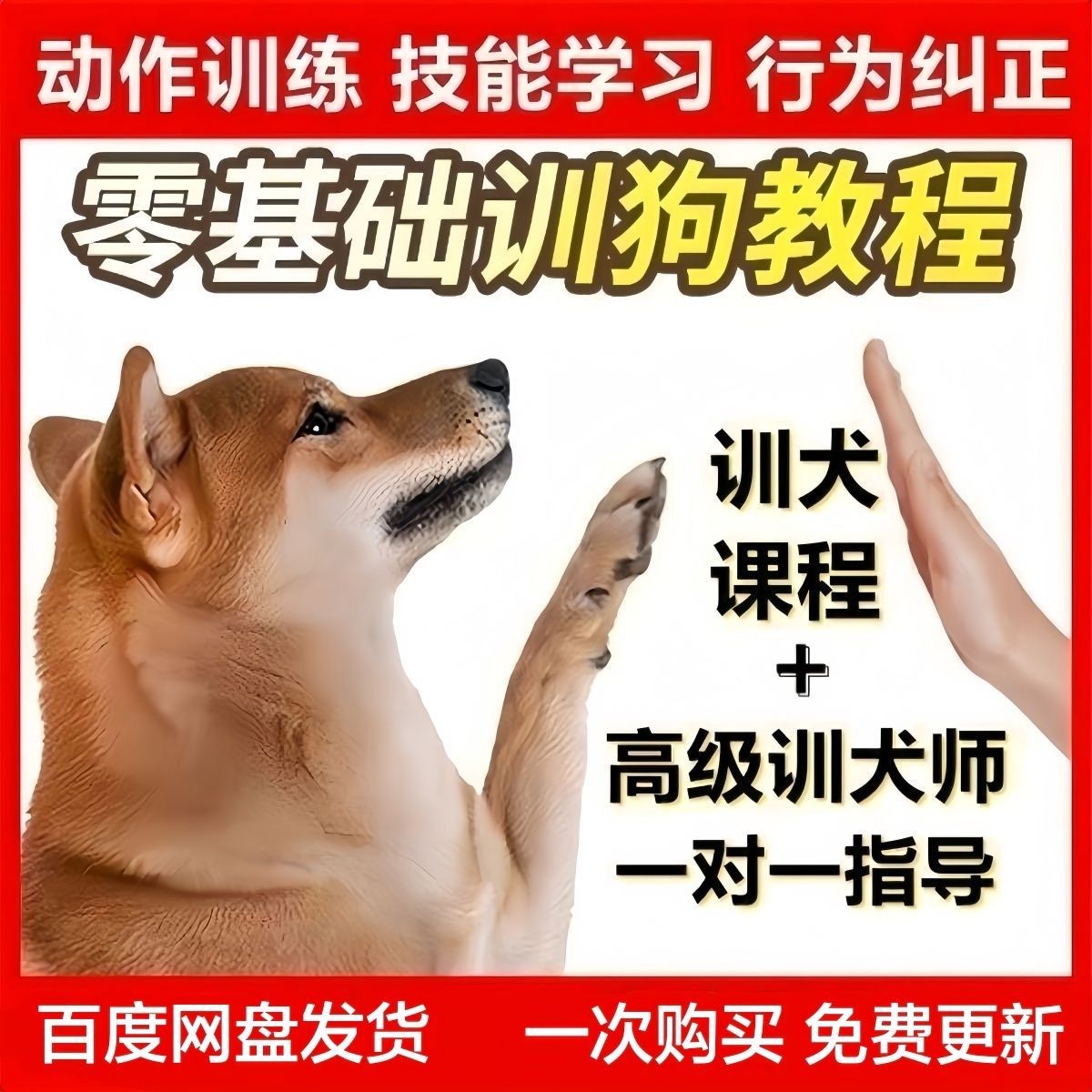 教你怎么挑选对的狗狗