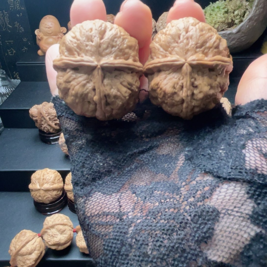 帝王……………………三…………