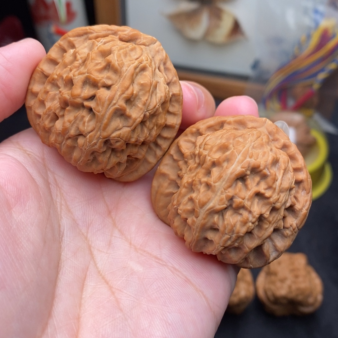 把件文玩核桃41白狮子