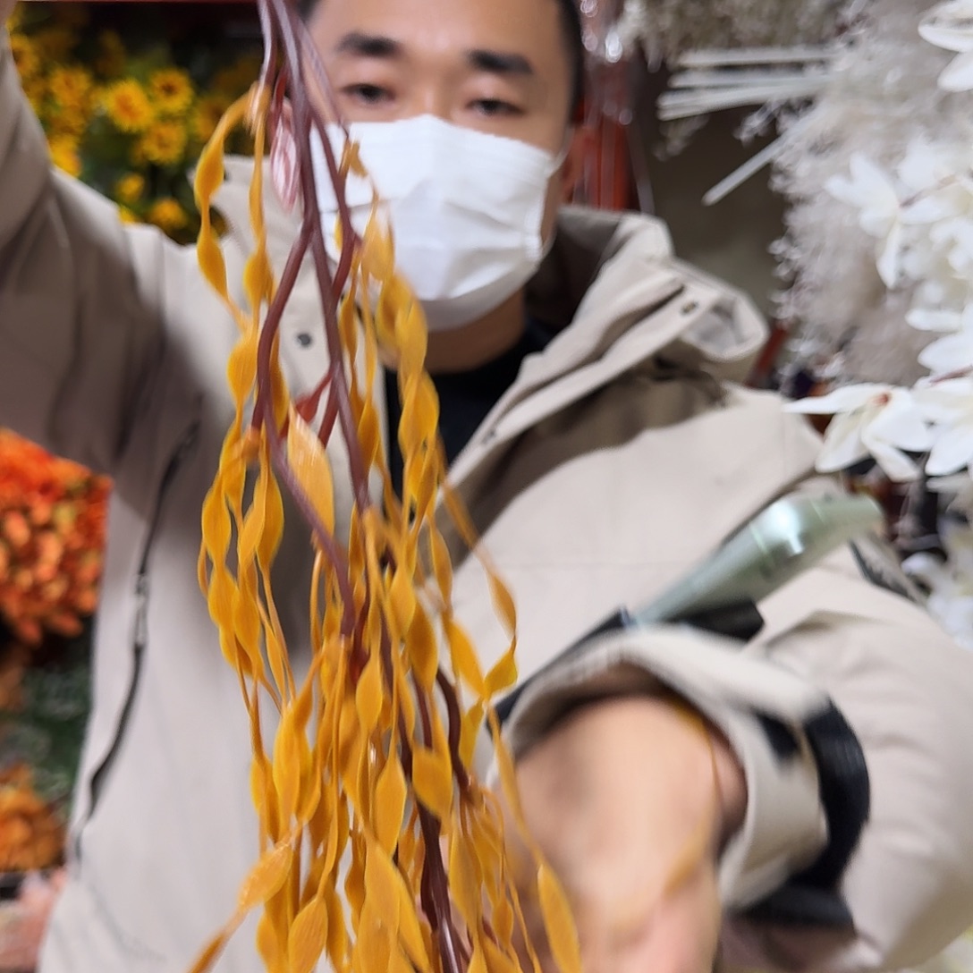 532号把束大支10支