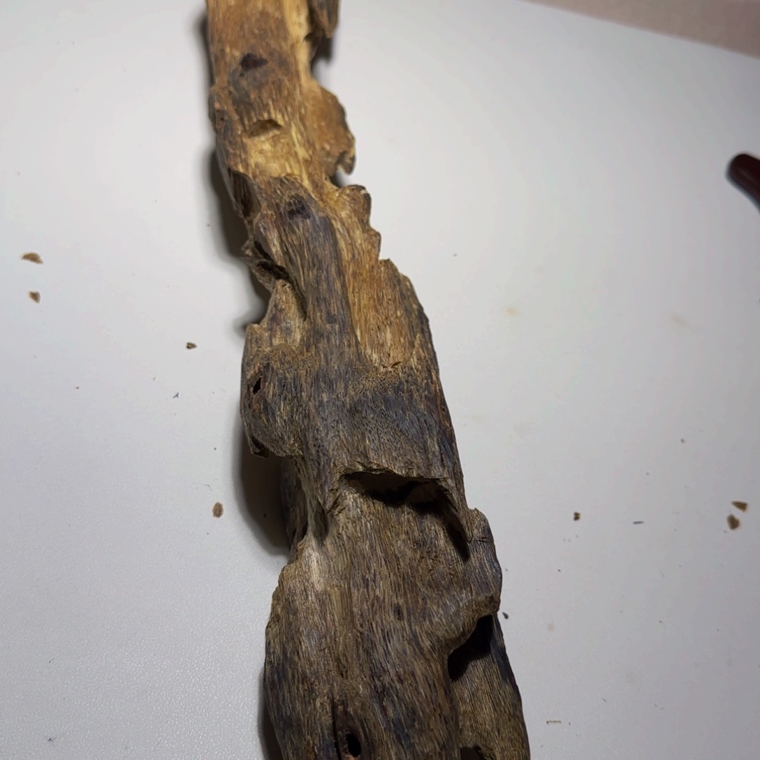 沉香摆件吉*沉香奇楠蓝宝石虫漏老料376克