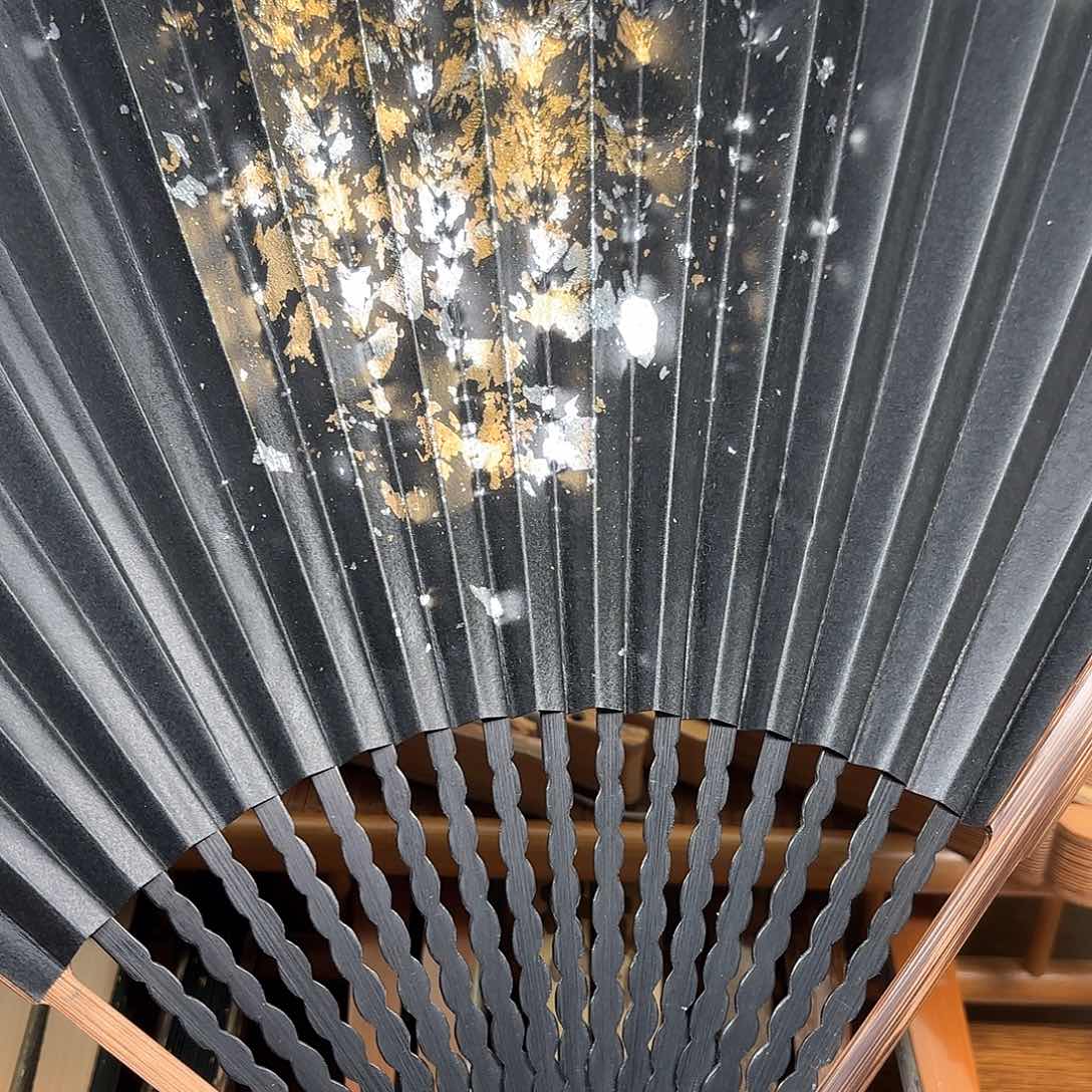 扇子爆炸金龙鳞棕竹