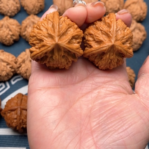 橄榄核手串/手链纸*文山三棱