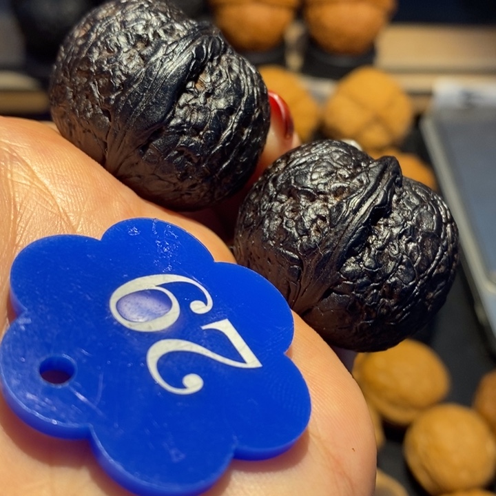 核桃地闷元宝尺寸34