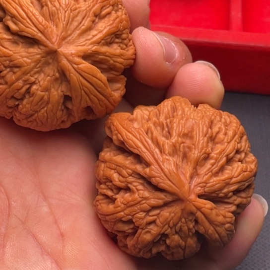文玩核桃把件秦岭山脉核桃