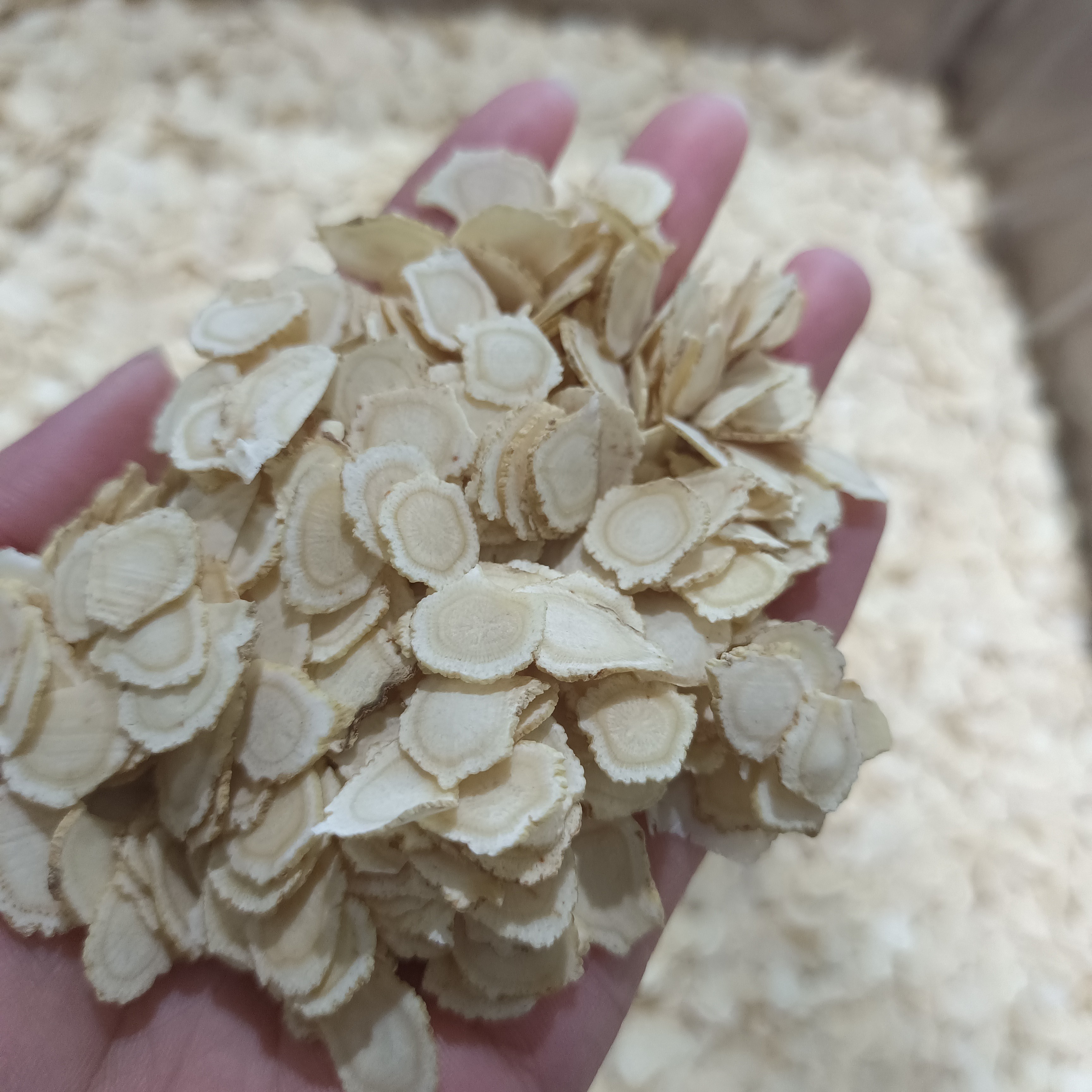 1.0规格长白山正宗西洋参片可泡水养生滋补东北土特产产地直销