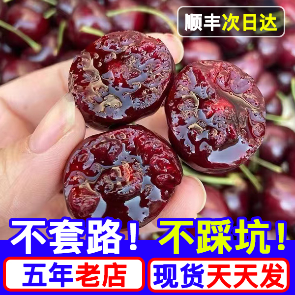 空运桑提娜智利进口黑车厘子J-4J新鲜净重800g-5斤 内附果径卡