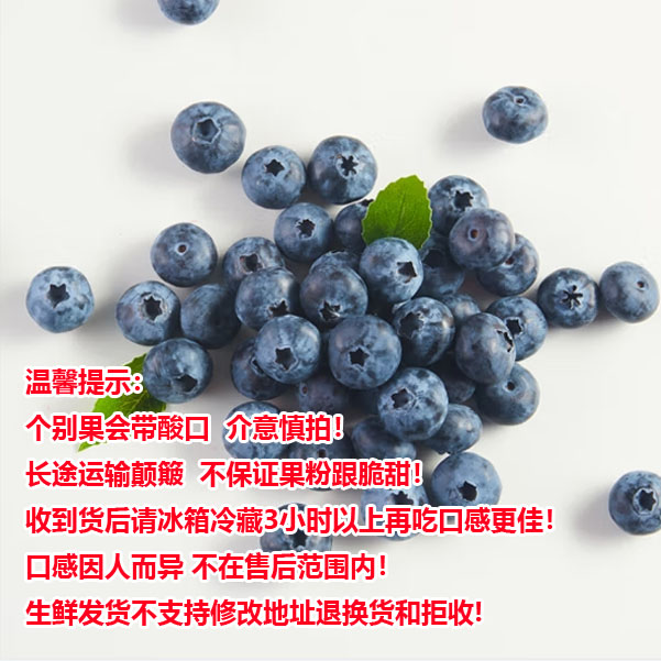  【空运顺丰】云南高山花香蓝莓（不保证果粉跟脆甜 介意请勿拍）