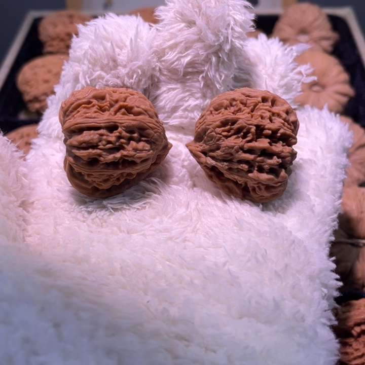 吊坠文玩核桃南疆异形小蜗牛