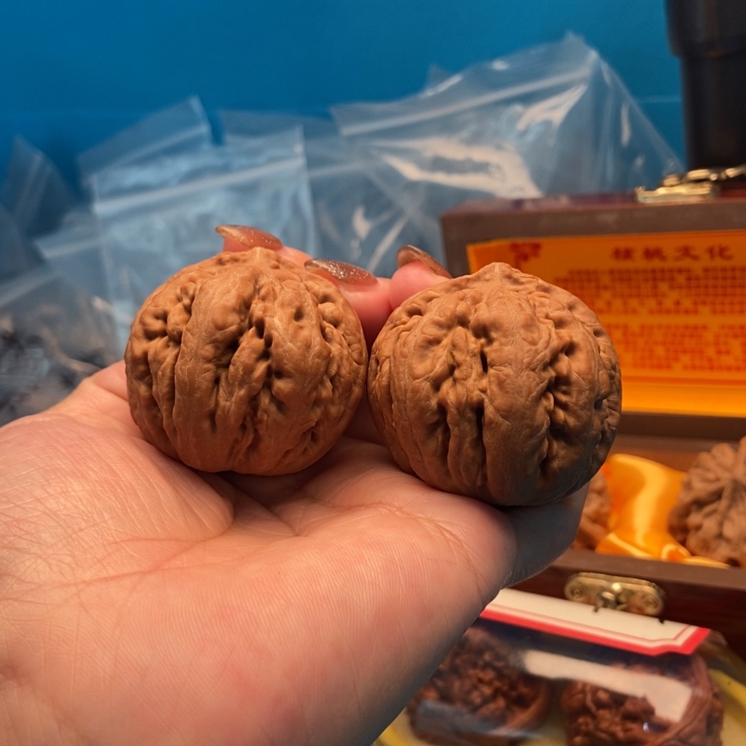 把件文玩核桃富霸王龙