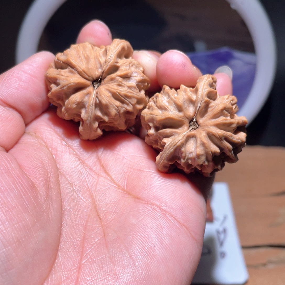 S466。 37尺。 大龙