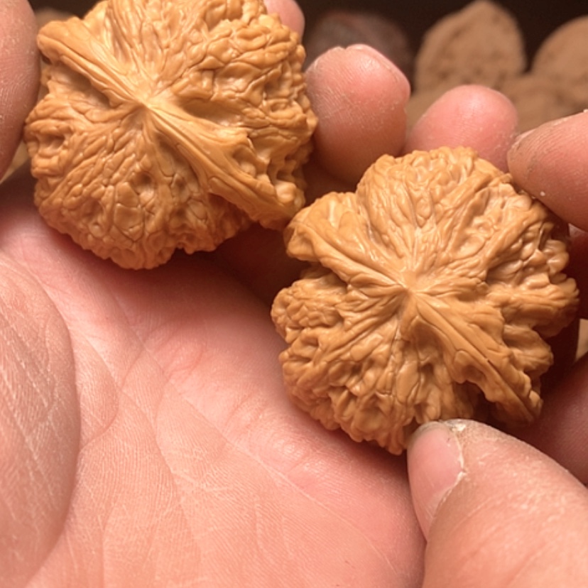 【闪购商品】大粗筋