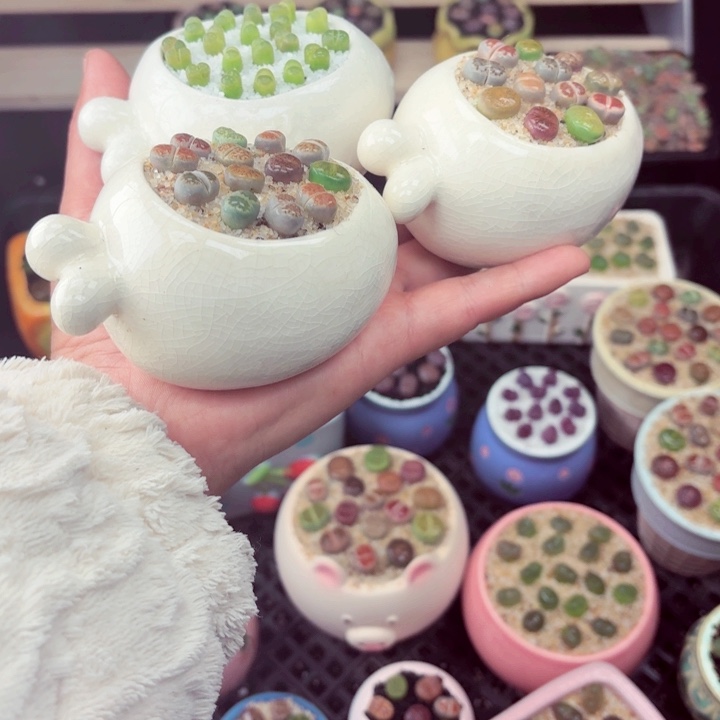 523零下地区记得拍保温箱满18包邮