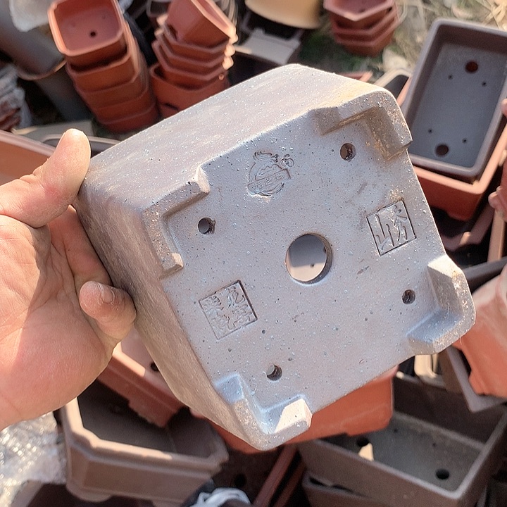 紫砂哈哈真的是太给力的样子就是这么给力呀