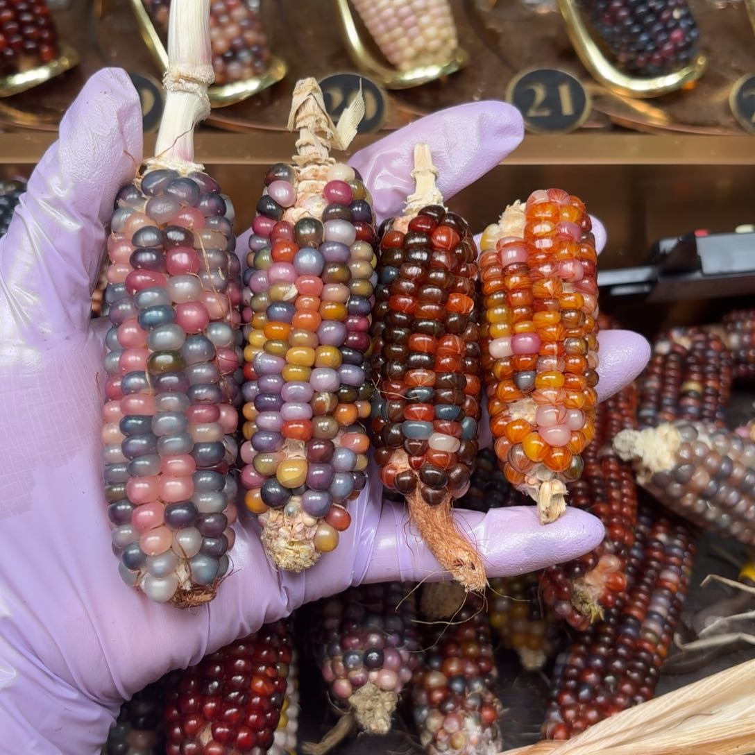 柏香籽/百香籽吊坠噜****啦