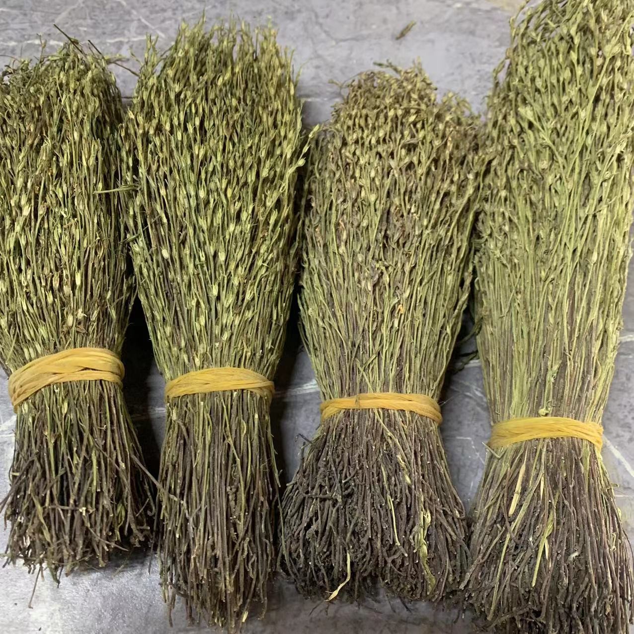 【三三】金锁匙独脚金草20g