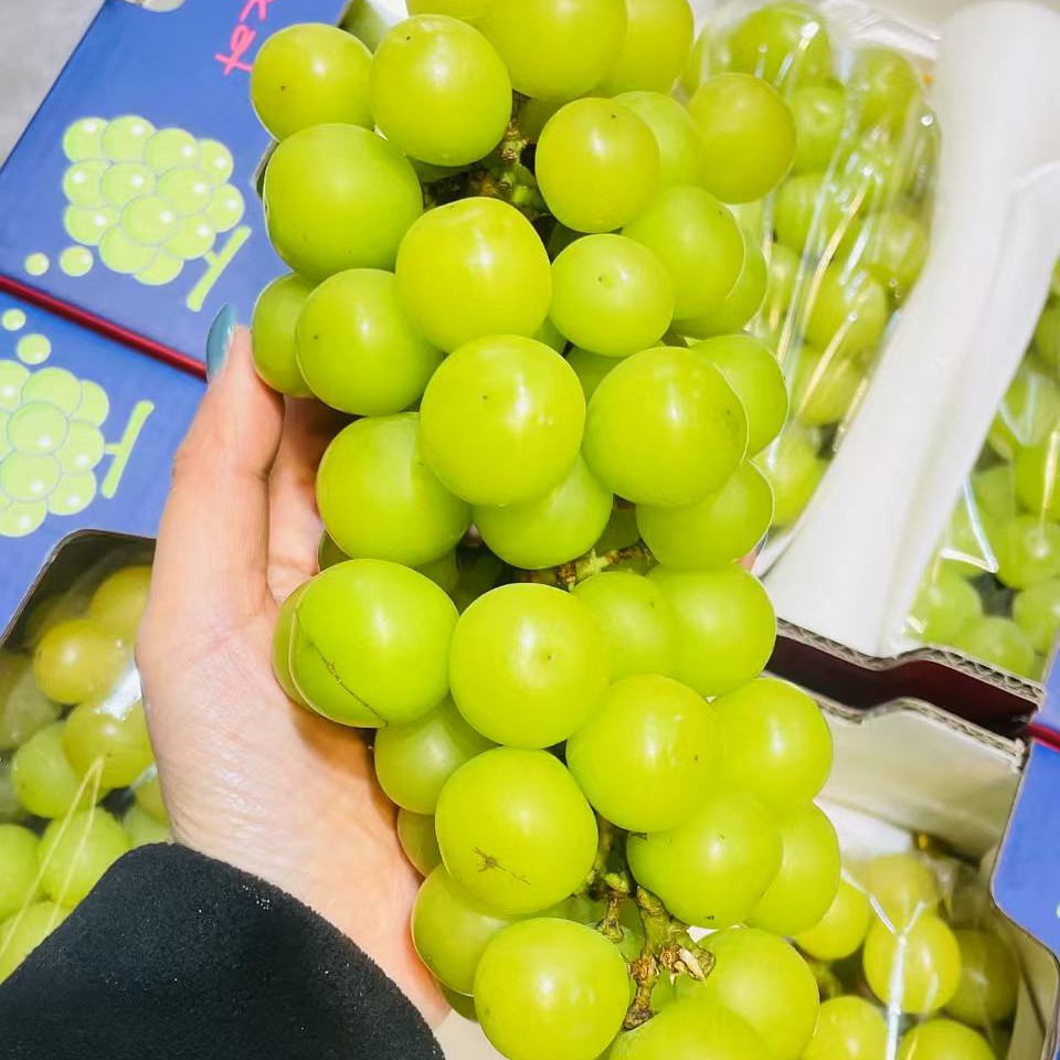 云南鲜果晴王提子（500g）1串装四川省