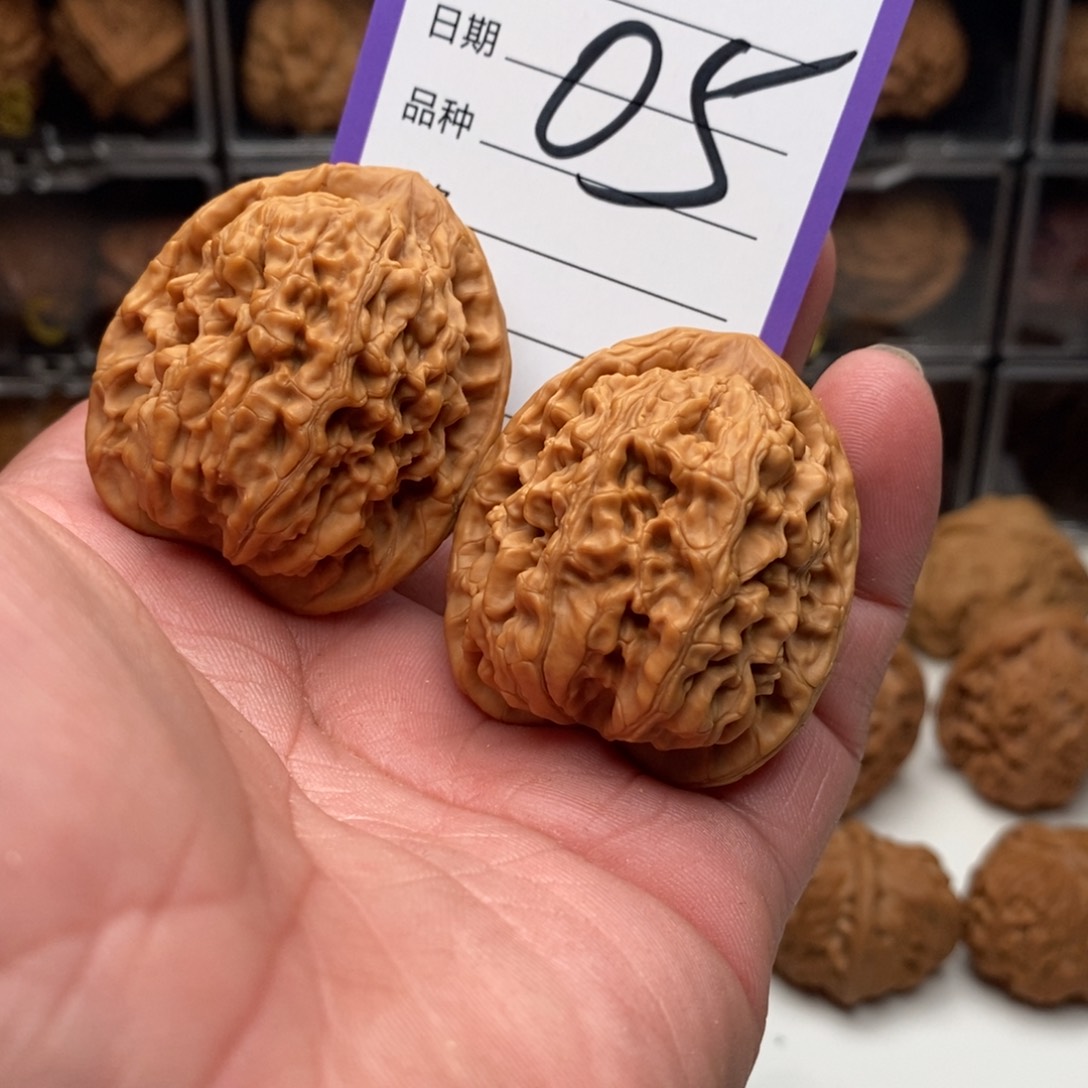 39粗筋蚂蚁王狮子头，微修