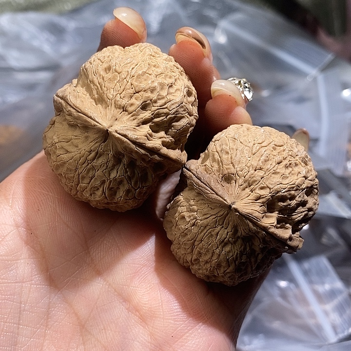 核桃云南野生铁核桃118号42mm