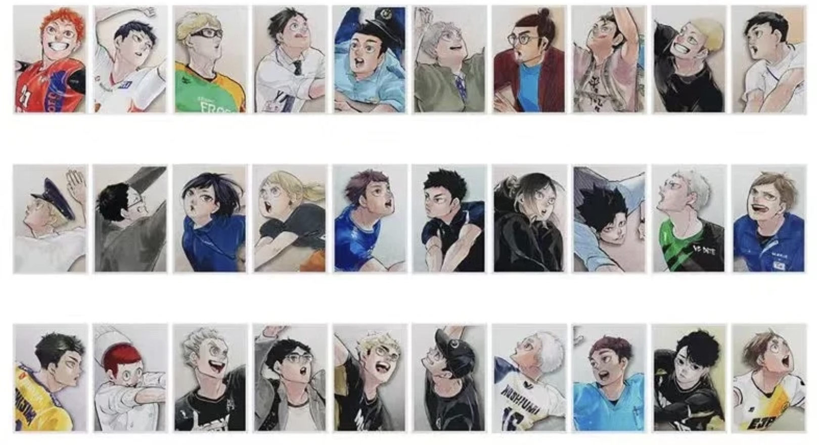 【排球少年】十周年彩色拍立得 混池 日谷