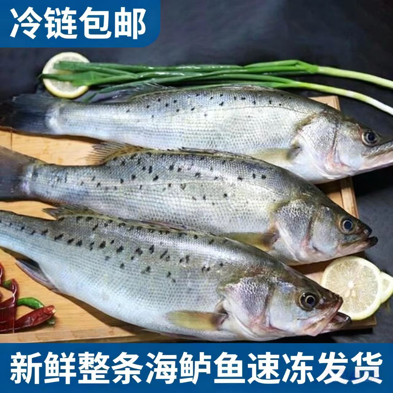 【冷链上门】鲈鱼鲜活整条速冻七星海鲈鱼深海花鲈海捕清蒸大冰鲜大