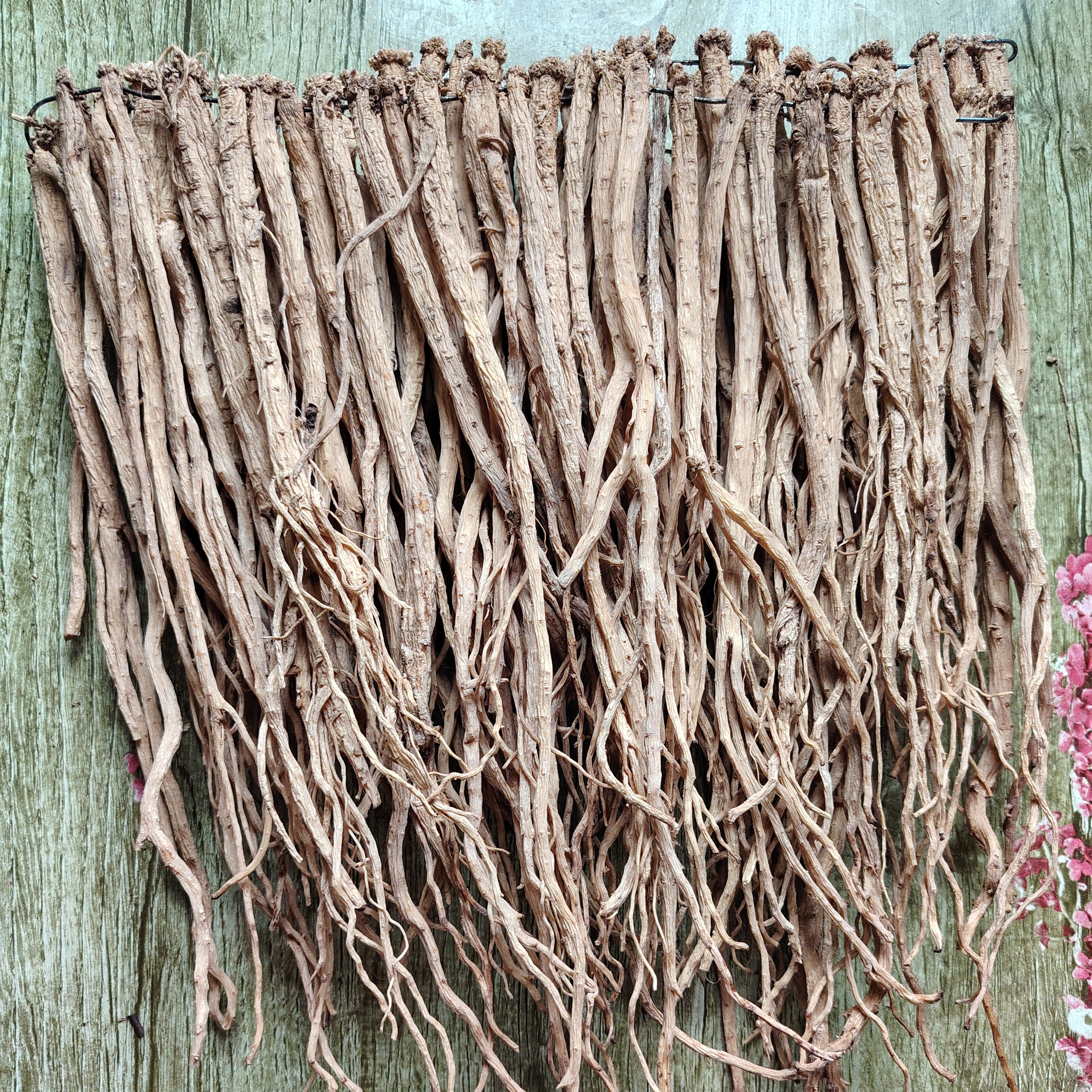 甘肃岷县无硫大条党参干货可煲汤泡水滋补食材