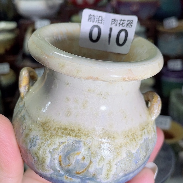 狼盆内口径5高度7