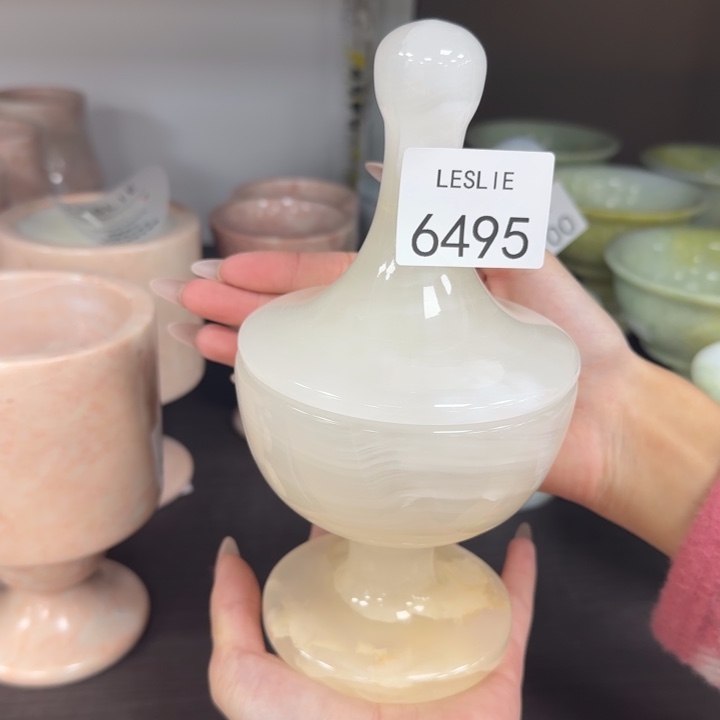 X495.                 透