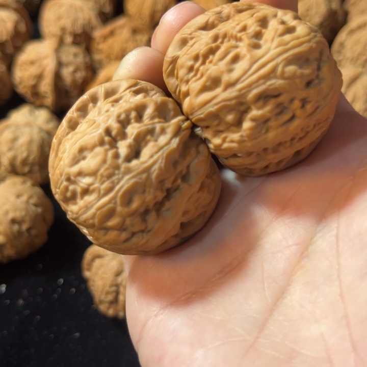 J***e文玩核桃元宝全品