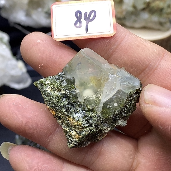 有机玻璃巴基斯坦喜马绿幽灵84