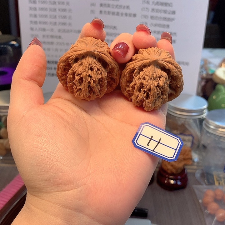 菩提籽类麦虎蛇头41尺寸