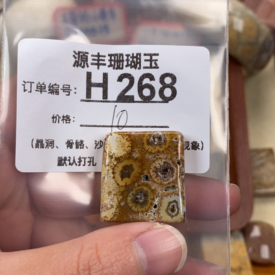 硅化玉颈饰未镶嵌5****.