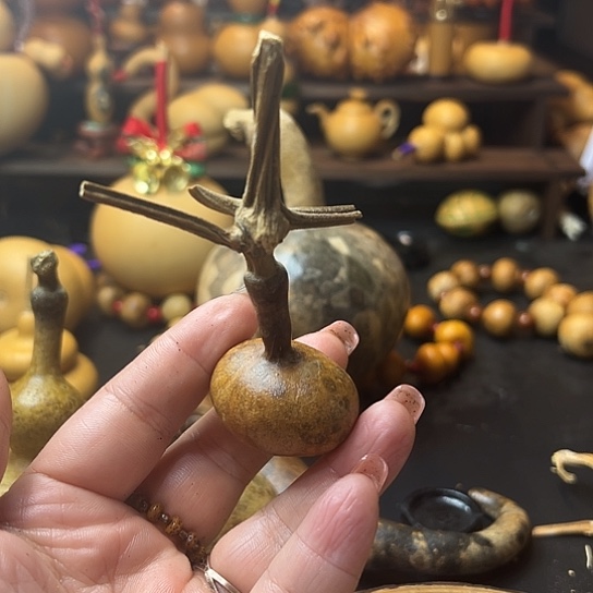 晴****-葫芦葫芦葫芦葫芦