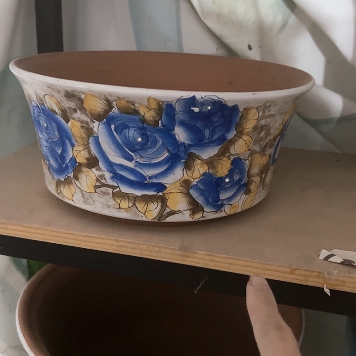 满38包邮哦 不满足的凑单哈