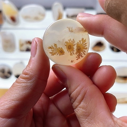 【闪购商品】玛瑙/玉髓珠宝半成品未镶嵌