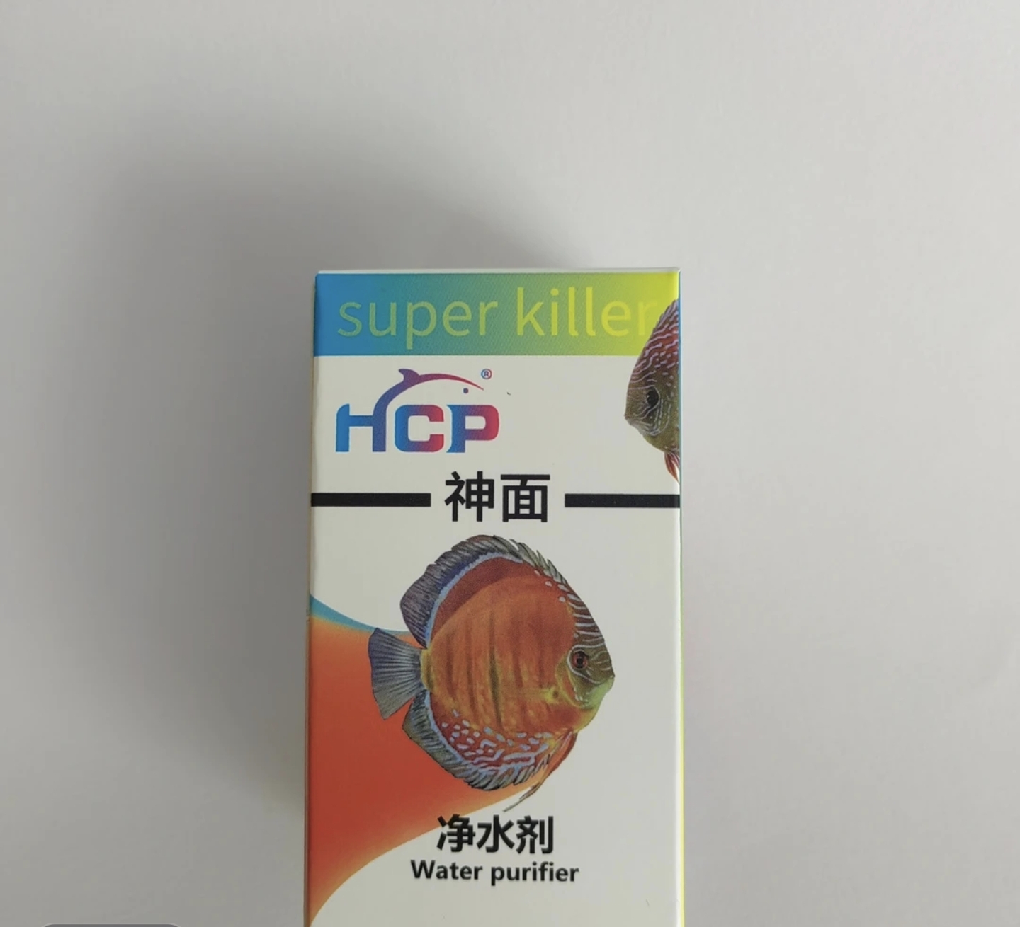 神面 热带七彩神仙鱼淡水鱼