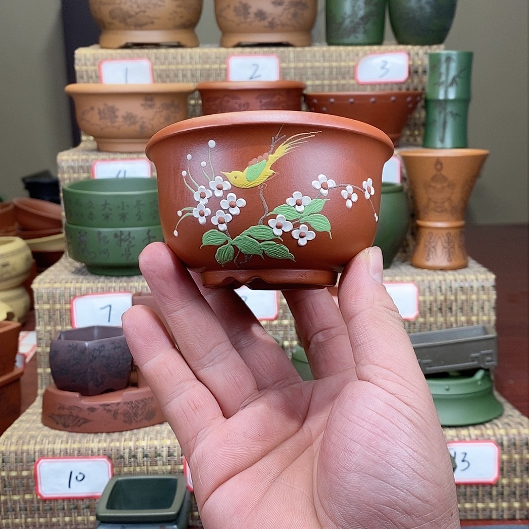 紫砂花盆我在等一