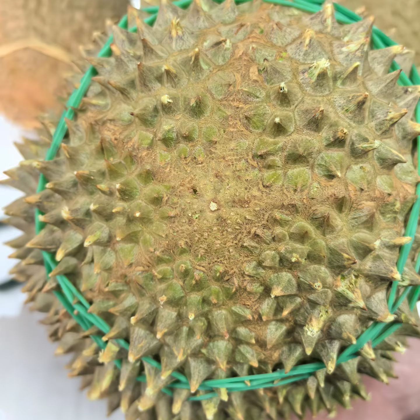 马来西亚鲜猫山王榴莲，3/4斤左右一个