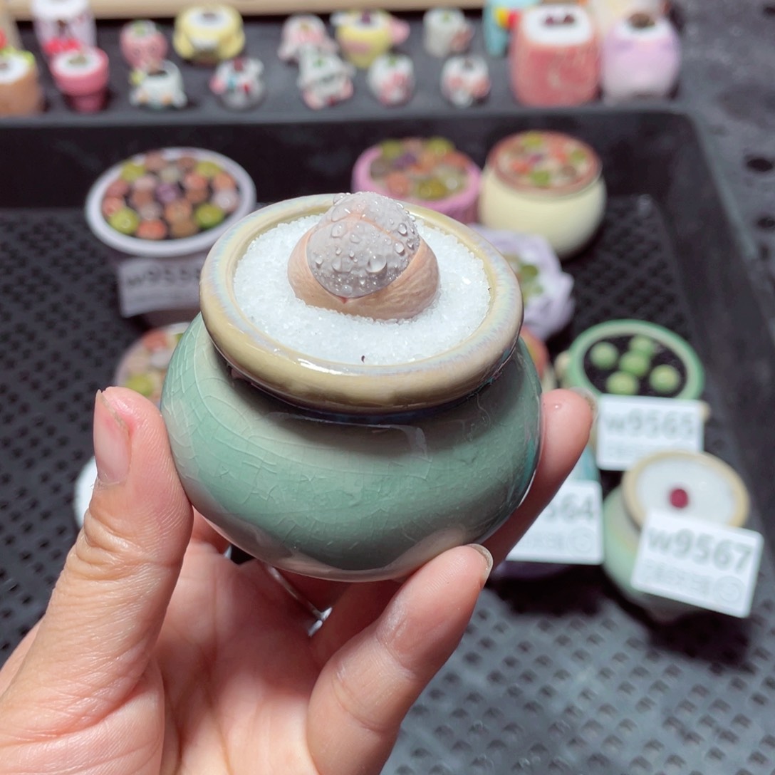 w9568 带盆土发货-零下地区拍保温箱