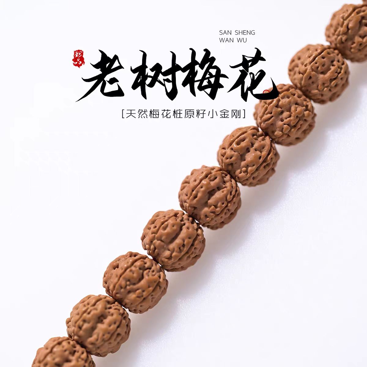 【老树梅花】梅花桩小金刚菩提子精品原皮手串单圈双龙纹手持文玩
