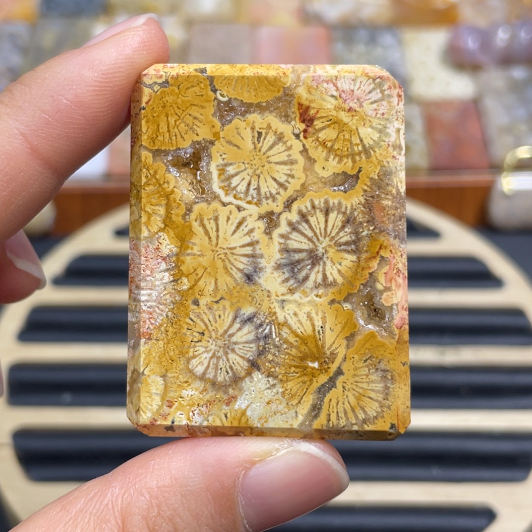 硅化玉未镶嵌颈饰k49