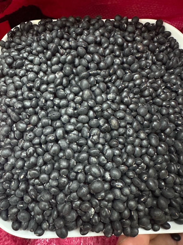 本地黑豆新货可泡醋打豆浆做豆腐的农家黑豆