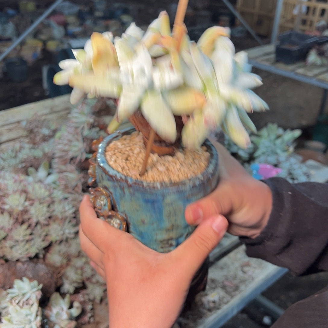 8754哈哈哈哈哈哈哈哈哈