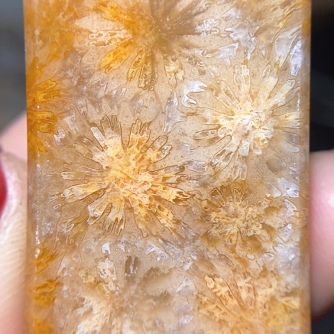 【闪购商品】硅化玉吊坠(不含链)未镶嵌